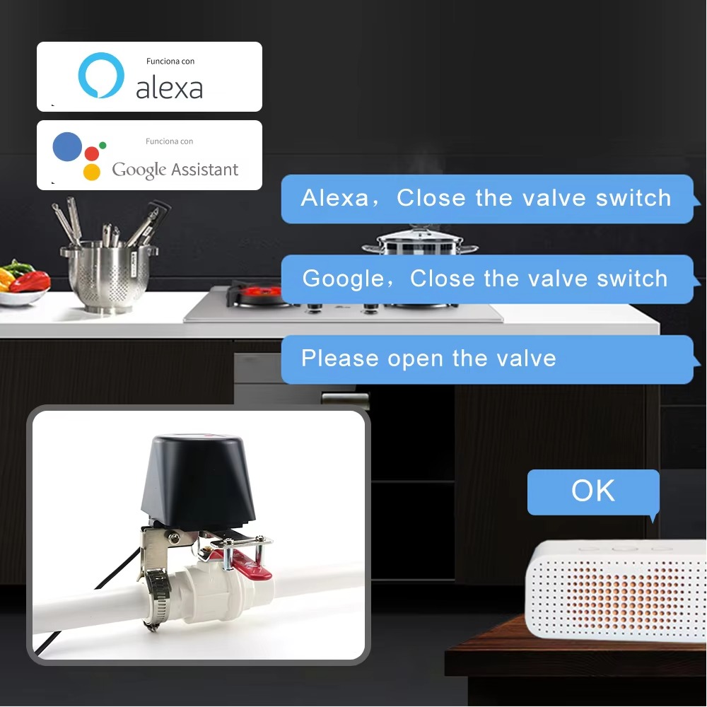 Tuya Zigbee oder Wifi Wasser V – Smart Garden Valve Bewertung und Preis
