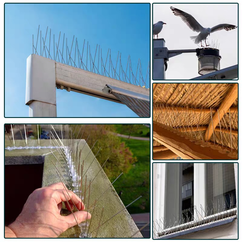 10/1x Taubenabwehr-Spikes aus  – Smart Garden Fence Bewertung und Preis